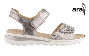 Ara Lois Multi
