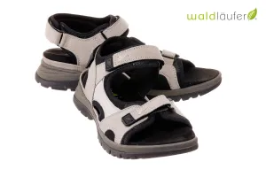 Wal Evelin Grey
