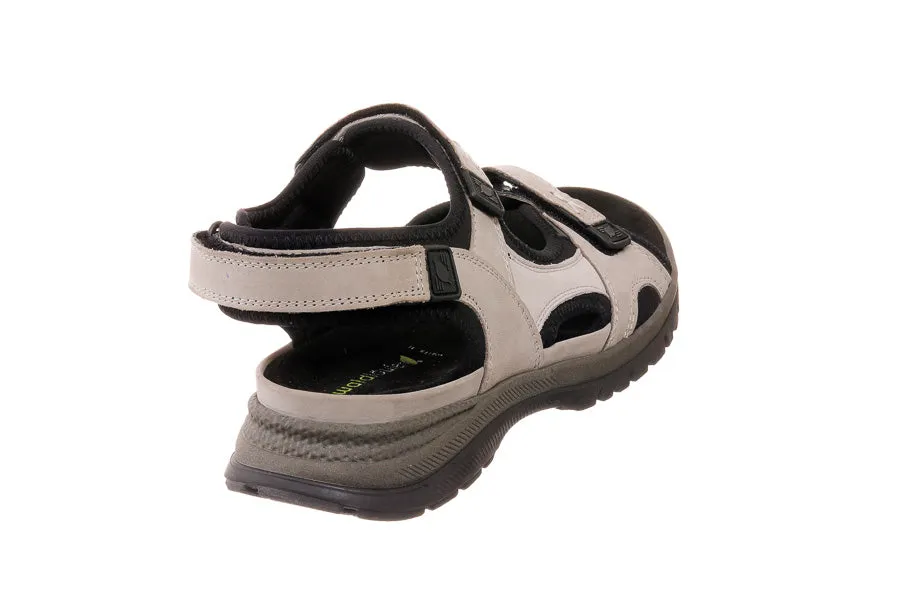 Wal Evelin Grey