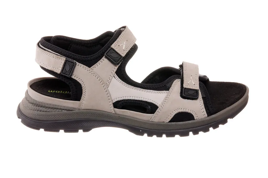 Wal Evelin Grey